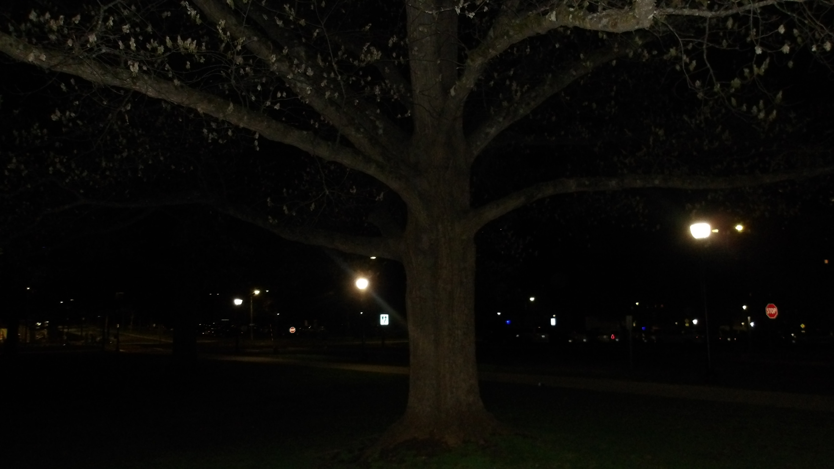 UMASS SPRING 26 photo